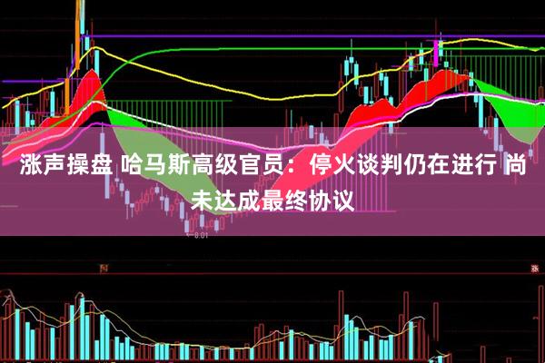 涨声操盘 哈马斯高级官员：停火谈判仍在进行 尚未达成最终协议