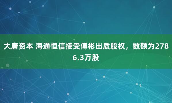 大唐资本 海通恒信接受傅彬出质股权，数额为2786.3万股