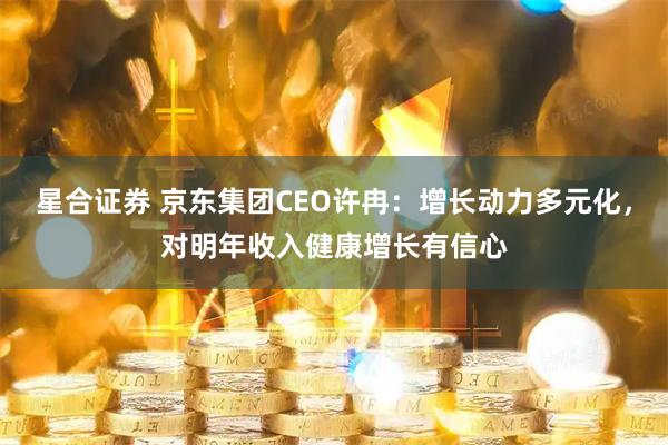 星合证券 京东集团CEO许冉：增长动力多元化，对明年收入健康增长有信心