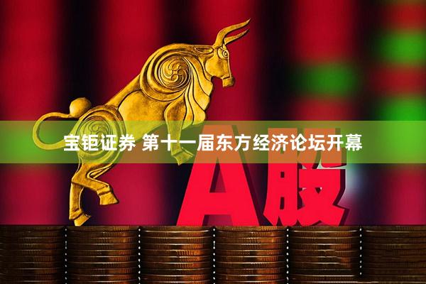 宝钜证券 第十一届东方经济论坛开幕